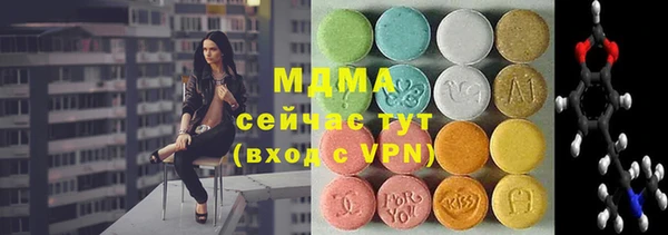прущие грибы Вяземский
