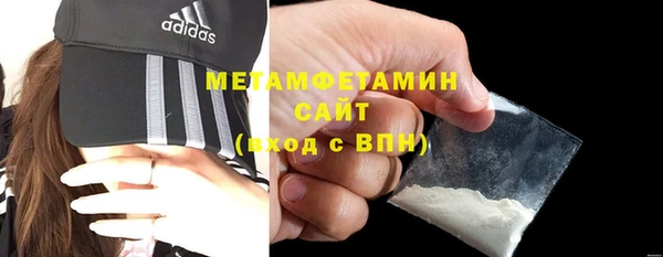 прущие грибы Вяземский