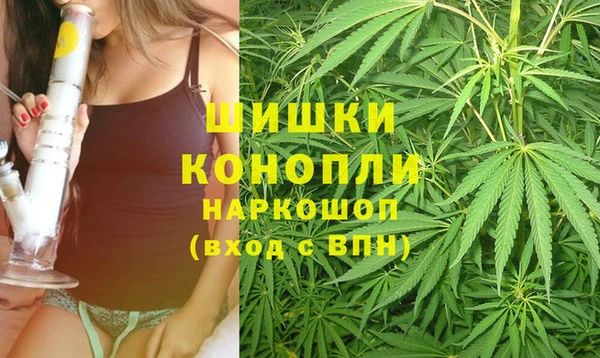 прущие грибы Вяземский