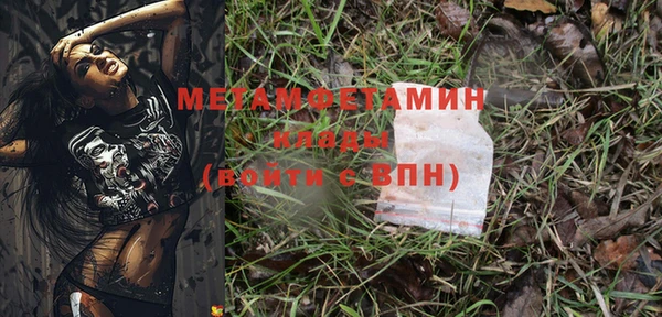 прущие грибы Вяземский