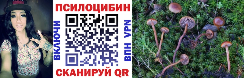Галлюциногенные грибы Cubensis Тюмень